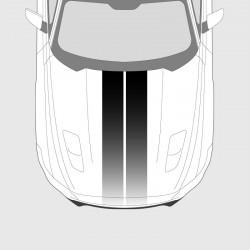 Double strip gradient print on transparent for Ford Mustang Hood