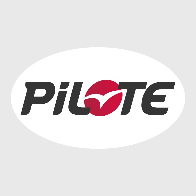 Pilot logo sticker on white oval background for Motorhome