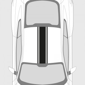 Sticker voiture bande simple fine et liseré double pour toit de Ford Mustang