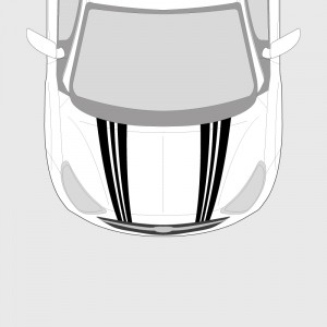 Triple V strip for Opel Adam hood