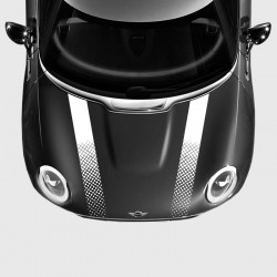 Gradient squared V-Stripes for Mini Hood