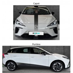 Commande sur mesure MG4...