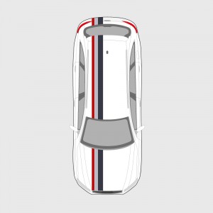 Tricolor Strips Roof, Boot and Hood of Audi