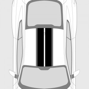 Double Bands with two outer strips Ford Mustang Roof