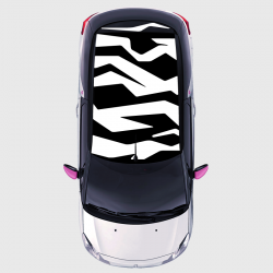 Zebra decals for DS 3 roof