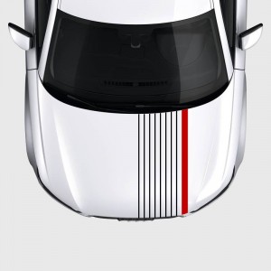 8 thin strips with a wide edging strip for Audi's hood