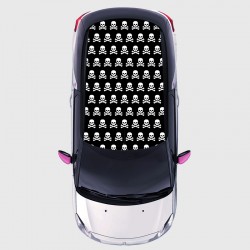 Skull decal for the roof of DS 3