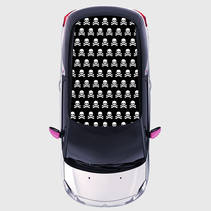 Skull decal for the roof of DS 3 Skull decal for the roof of DS 3