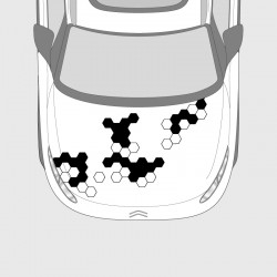 Honeycomb stickers for Citroën C4 Cactus hood