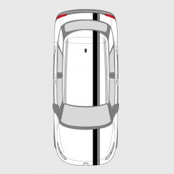 Double strip stickers for Citroën C4 Cactus hood, boot and roof