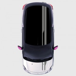 Modern strips Decals for DS3 Roof, boot and hood