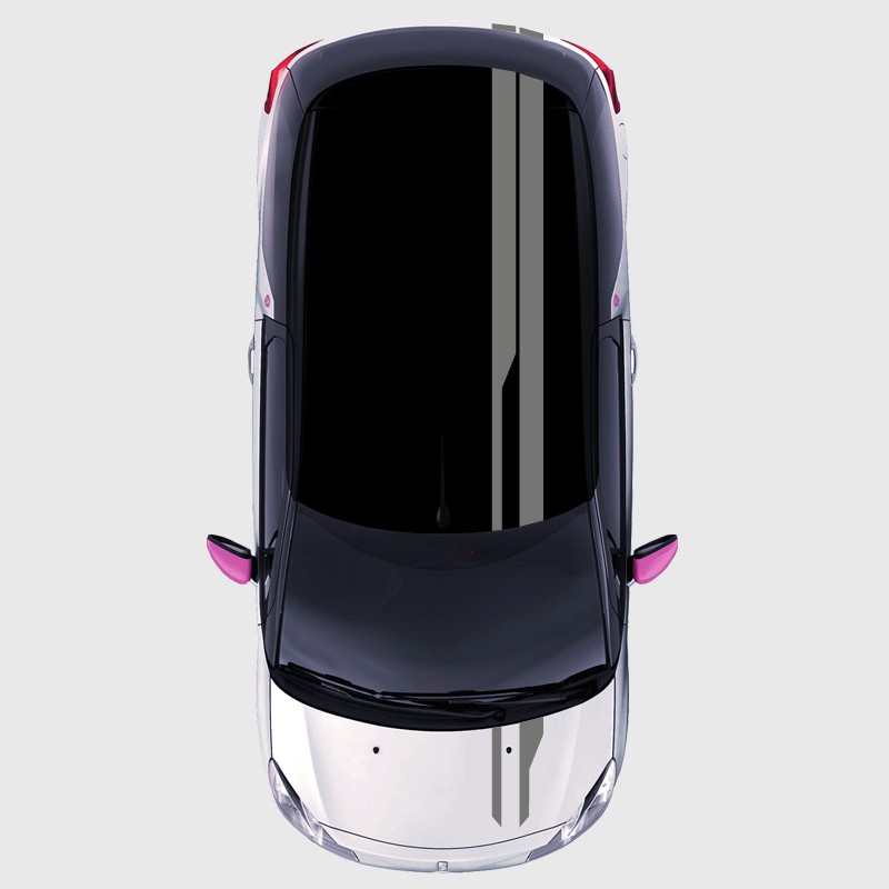 Modern strips Decals for DS3 Roof, boot and hood Modern strips Decals for DS3 Roof, boot and hood