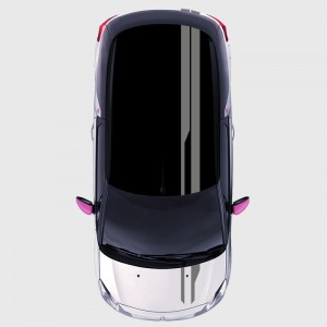 Modern strips Decals for DS3 Roof, boot and hood