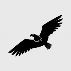 Eagle decal for Camping car