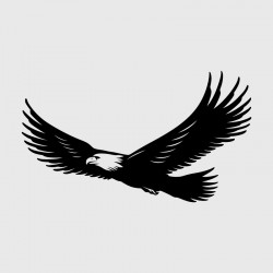 American Eagle decal for Camping car