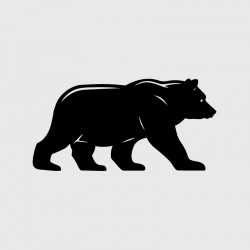 Bear decal for Camping car