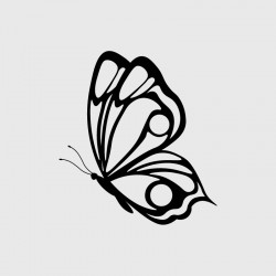 Butterfly decal for Camping car