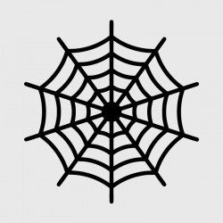 Spider web decal for Camping car