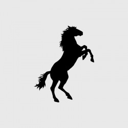 Standing horse decal for Camping car
