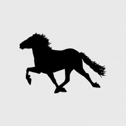 Horse decal for Camping car