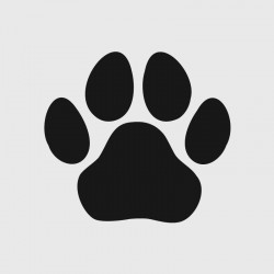 Paw decal for Camping car