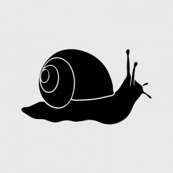Snail decal for Camping car