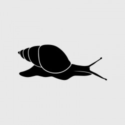 Snail 2 decal for Camping car