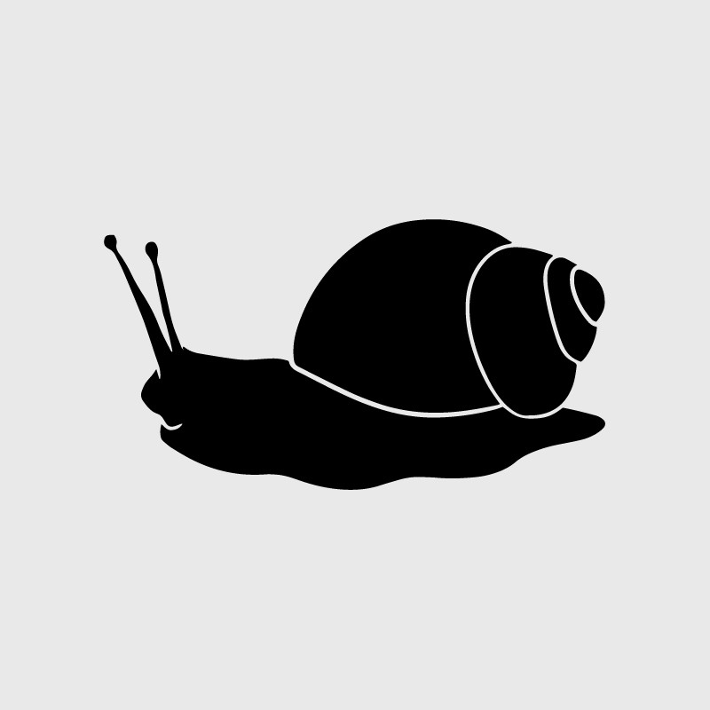 Snail 3 decal for Camping car