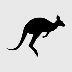 Kangaroo 2 decal for Camping car