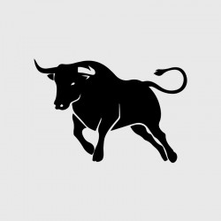 Taurus decal for Camping car