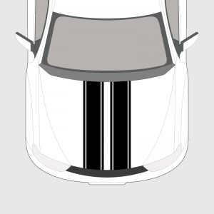 Double strips with edging strips for Fiat Fullback hood